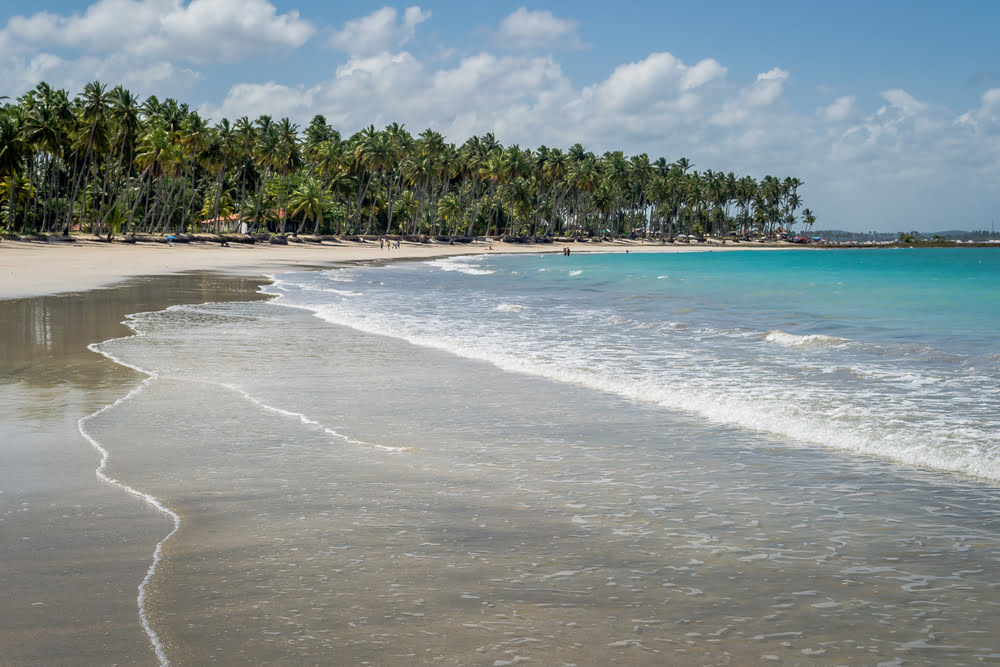 Praias do Nordeste do Brasil e seus encantos: as melhores praias de Maceió 1 Depositphotos 85836612 S